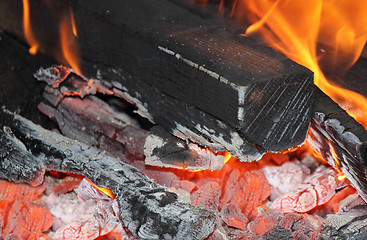 Image showing Firewood