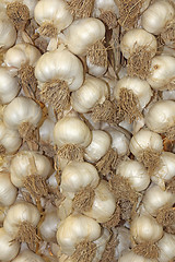 Image showing Young garlic