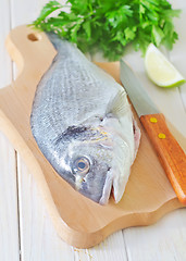 Image showing dorado fish
