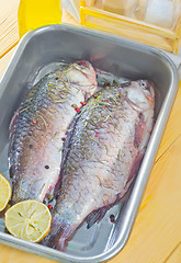 Image showing fresh carp