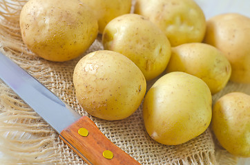 Image showing raw potato