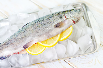 Image showing raw trout