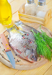 Image showing fresh carp