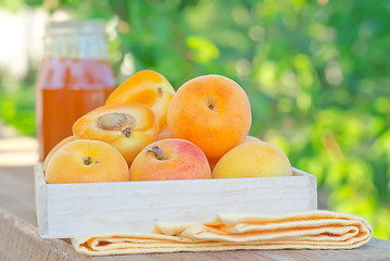 Image showing jam and apricot