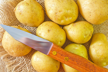 Image showing raw potato