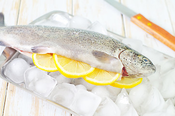 Image showing raw trout