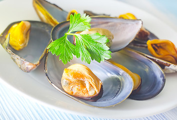 Image showing mussels