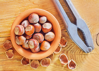 Image showing hazelnuts