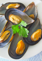 Image showing mussels