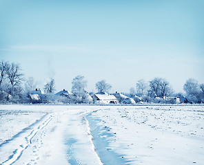 Image showing winter