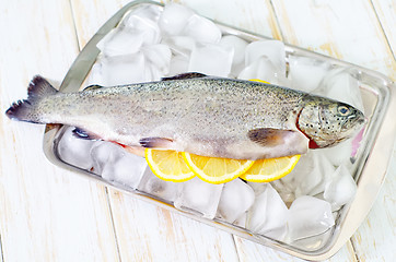 Image showing raw trout