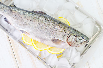 Image showing raw trout