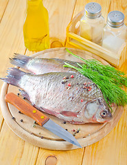 Image showing fresh carp