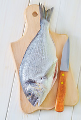 Image showing dorado fish