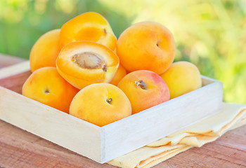 Image showing apricot