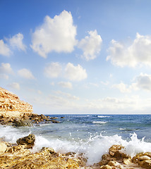 Image showing sea coast