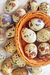 Image showing quail eggs