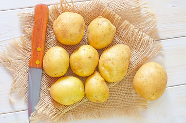 Image showing raw potato