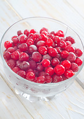 Image showing frozen cranberry