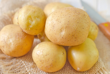 Image showing raw potato