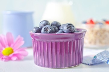 Image showing blueberry