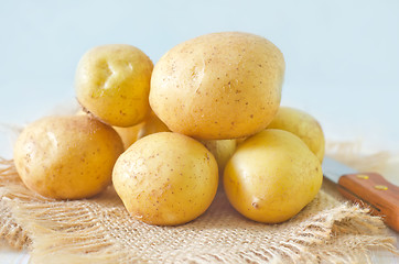 Image showing raw potato