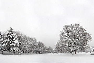 Image showing Snow in the park