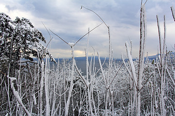 Image showing Winter landscape2