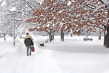 Image showing Man in the park