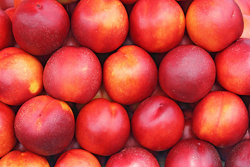 Image showing Nectarines