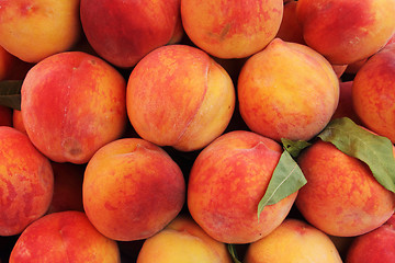 Image showing Peaches