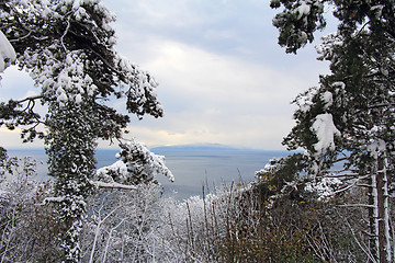 Image showing Winter landscape