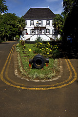 Image showing zanzibar mahebourg naval museum flower   bush