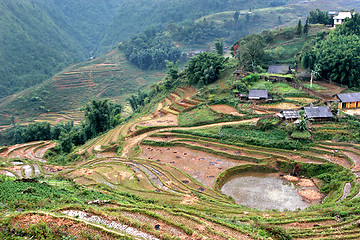 Image showing sapa