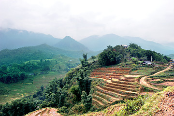 Image showing sapa