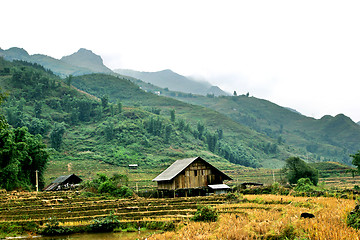 Image showing sapa