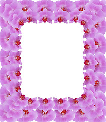 Image showing frame from pink petals of orchid