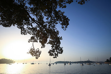 Image showing Sailboats at sunset in Adriatic sea