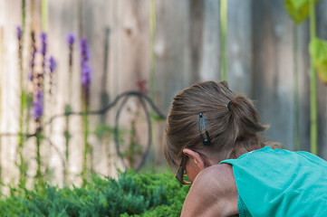 Image showing Gardening