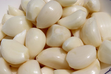 Image showing many seeds of garlic