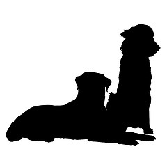 Image showing Pair of Dogs