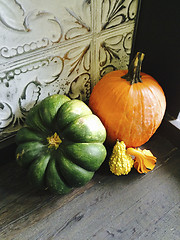 Image showing Pumpkin