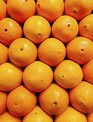 Image showing Oranges