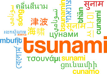 Image showing Tsunami multilanguage wordcloud background concept