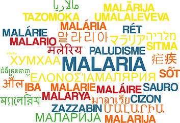 Image showing Malaria multilanguage wordcloud background concept