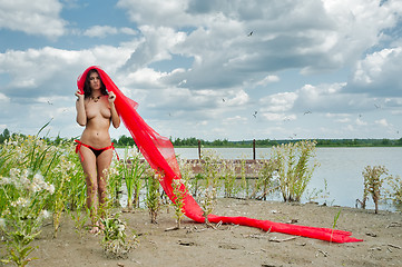 Image showing Attractive topless girl on river bank