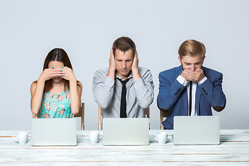 Image showing Business team working on their business project together at office