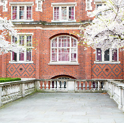 Image showing tree  window in europe london  red brick wall     and      histo