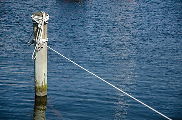 Image showing Wooden pole with ropes