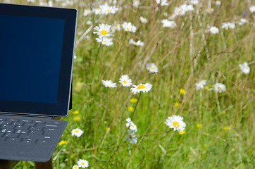 Image showing Laptop among daisies